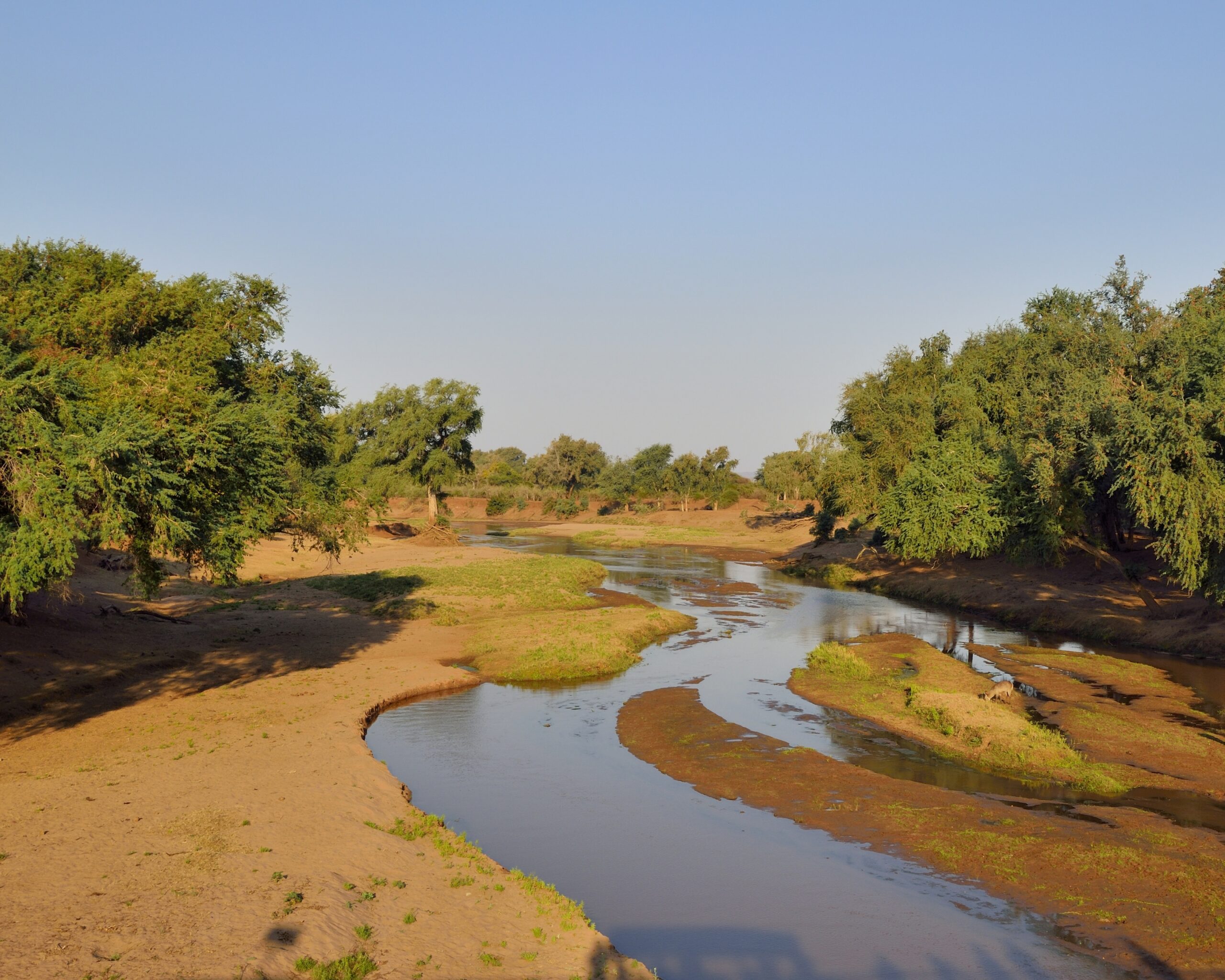 Amarula Lapa